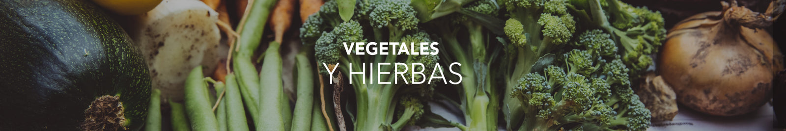 Vegetales y Hierbas