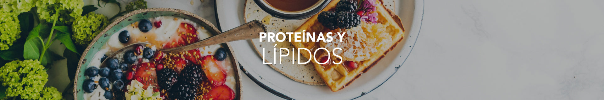 Proteinas y Lípidos