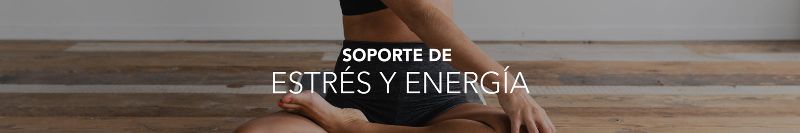 Soporte de Estrés y Energía
